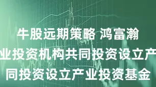 牛股远期策略 鸿富瀚：拟与专业投资机构共同投资设立产业投资基金