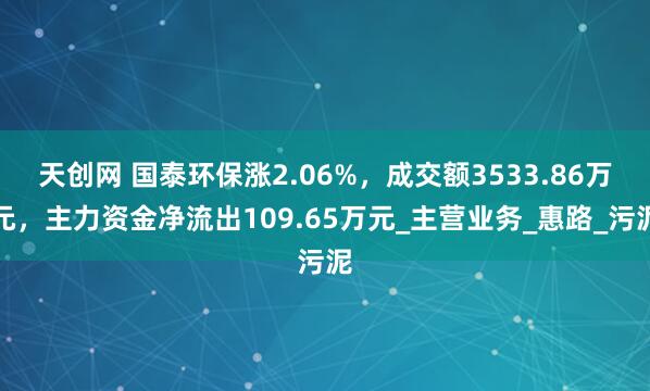 天创网 国泰环保涨2.06%，成交额3533.86万元，主力资金净流出109.65万元_主营业务_惠路_污泥