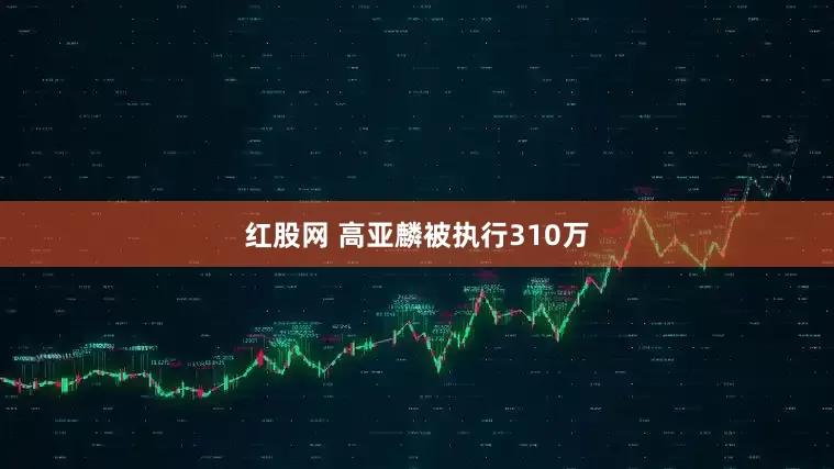 红股网 高亚麟被执行310万