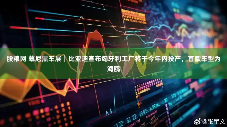 股粮网 慕尼黑车展｜比亚迪宣布匈牙利工厂将于今年内投产，首款车型为海鸥